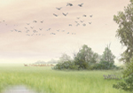 STROOTMAN LANDSCAPE